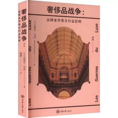 品战争:品牌金字塔与行业巨鳄史蒂芬&middot;马尚 时尚产业从业者品牌管理者